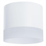 A5554PL-1WH Светильник потолочный накладной CASTOR  для GX53 Ø93x109мм белый IP20