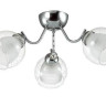 Потолочная люстра Lumion Brinna 3071/3C