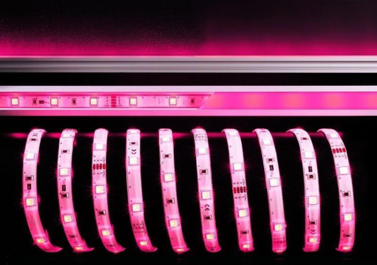 Лента светодиодная Deko-Light 5050-30-24V-RGB-5m 532551 Лента светодиодная Deko-Light 5050-30-24V-RGB-5m 532551