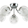 Потолочная люстра Lumion Brinna 3071/5C