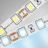 Светодиодная лента Ambrella Light 14,4W/m 60LED/m 5050SMD холодный белый 5M GS2003