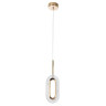 Подвесной светодиодный светильник Arte Lamp OVALE A2489SP-1GO
