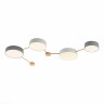 Потолочный светильник Evoluce DOSSENA SLE600102-04 Потолочный светильник Evoluce DOSSENA SLE600102-04