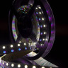 Светодиодная лента SWG 28,8W/m 120LED/m 5050SMD RGB/ холодный белый 5M 000969