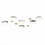 Потолочный светильник Evoluce DOSSENA SLE600102-06 Потолочный светильник Evoluce DOSSENA SLE600102-06