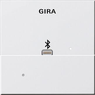 Лицевая панель Apple Lightning Gira System 55 для вставки док-станции чисто-белый глянцевый 228703