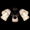 Потолочная люстра Illumico IL0344-5CSQ-79 BK AB