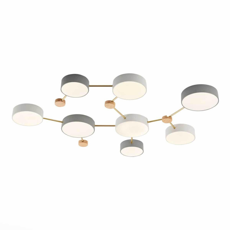 Потолочный светильник Evoluce DOSSENA SLE600102-08 Потолочный светильник Evoluce DOSSENA SLE600102-08