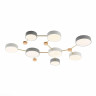 Потолочный светильник Evoluce DOSSENA SLE600102-08 Потолочный светильник Evoluce DOSSENA SLE600102-08