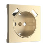 Лицевая панель Werkel розетки USB шампань WL11-USB-CP 4690389124693