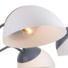 Подвесная люстра F-Promo Vitra 2687-5P