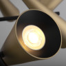 Подвесной светильник Maytoni MOD095PL-10BS