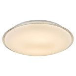 Потолочный светодиодный светильник Globo Madlen 48359-24