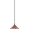 Подвесной светильник Lumien Hall Лайам 4025/1PL-GD