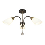 Потолочная люстра Seven Fires Tasita 66613.01.15.03 Потолочная люстра Seven Fires Tasita 66613.01.15.03