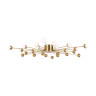 Потолочный светильник Freya FR5242CL-24BS