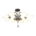 Потолочная люстра Seven Fires Tasita 66613.01.15.08 Потолочная люстра Seven Fires Tasita 66613.01.15.08