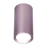 Потолочный светильник Ambrella light Techno Spot TN220