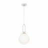 Подвесной светильник Loft IT Parachilna 9975-B