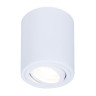 Потолочный светильник Ambrella light Techno Spot TN225