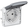 Розетка силовая Legrand Plexo IP55 2К+З на винтах, серая 069571