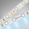 Светодиодная лента Ambrella Light 6W/m 60LED/m 2835SMD холодный белый 5M GS3003