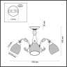 Потолочная люстра Lumion Comfi Ninella 3092/3