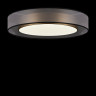 Потолочный светильник Freya FR6005CL-L48G