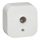Розетка TV Legrand Quteo звезда 1,5 дБ, белая 782215