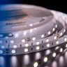 Светодиодная влагозащищенная лента DesignLed 14,4W/m 60LED/m 5050SMD нейтральный белый 5M 002118