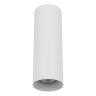 Потолочный светильник Lightstar Rullo 216496