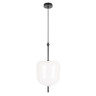 Подвесной светодиодный светильник Loft IT Venice 10223/D White