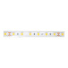 Светодиодная влагозащищенная лента DesignLed 14,4W/m 60LED/m 5050SMD нейтральный белый 5M 002378