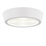 Потолочный светильник Lightstar Urbano Mini LED 214702