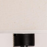 A9202PN-1BK СВЕТИЛЬНИК НАПОЛЬНЫЙ