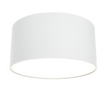 Потолочный светильник Technical C032CL-12W3K-RD-W