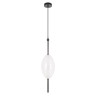 Подвесной светодиодный светильник Loft IT Venice 10223/E White