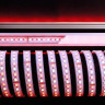 Лента светодиодная Deko-Light 5050-96-24V-RGB+2800K-5m-silicon 840145 Лента светодиодная Deko-Light 5050-96-24V-RGB+2800K-5m-silicon 840145