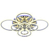 Потолочная светодиодная люстра Evoled Cerina SLE500512-08RGB