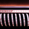 Лента светодиодная Deko-Light 5050-96-24V-RGB+3000K-5m 840144