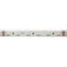 Светодиодная влагозащищенная лента DesignLed 14,4W/m 60LED/m 5050SMD разноцветный 5M 003351
