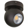 Спот Lightstar Globo 051007 Спот Lightstar Globo 051007