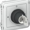 Выключатель Legrand Plexo IP55 с ключом 3-позиционный «I-0-II», два Н.О. контакта, серый 069535