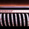 Лента светодиодная Deko-Light 5050-96-24V-RGB+4200K-5m 840216