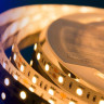 Светодиодная влагозащищенная лента DesignLed 14,4W/m 60LED/m 5050SMD теплый белый 5M 000516