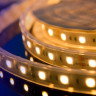 Светодиодная влагозащищенная лента DesignLed 14,4W/m 60LED/m 5050SMD теплый белый 5M 000519