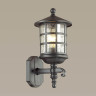 Уличный настенный светильник Odeon Light Nature House 4043/1W