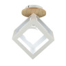 Потолочный светильник Seven Fires Aydana WD3570/1C-WT
