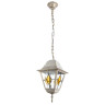 Уличный подвесной светильник Arte Lamp Berlin A1015SO-1WG