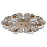 Потолочная светодиодная люстра Favourite Ornamentum 2604-6C
